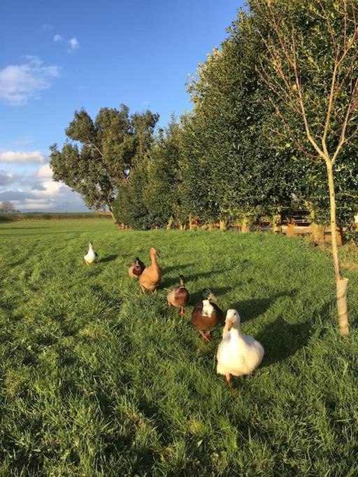 Сasa de vacaciones Shepherds Haven Draycott in the Moors
